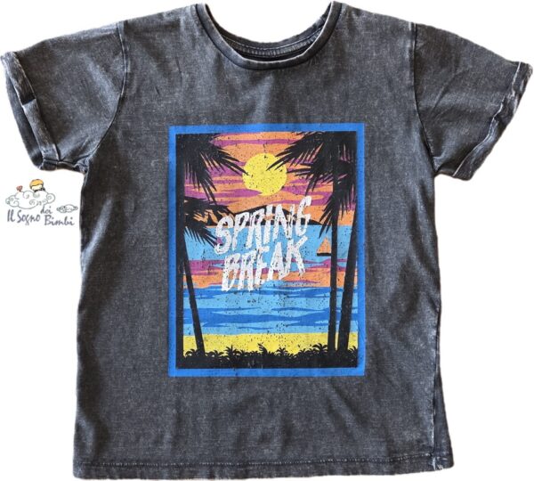T-SHIRT GRIGIA STAMPA SPRING BREAK NATH KIDS