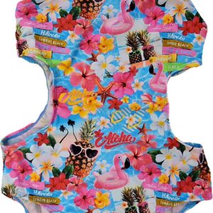COSTUME INTERO HAWAII NATHKIDS